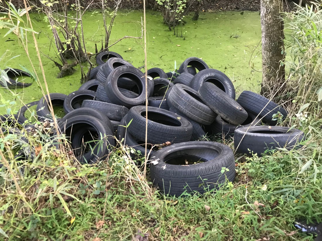 Tires dumped in Great Dismal Swamp NWR Suffolk, VA