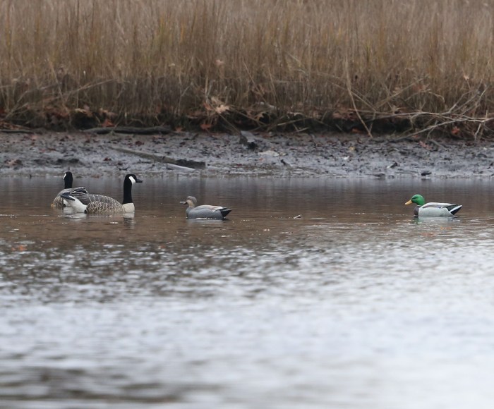 Waterfowl hunters' decoys